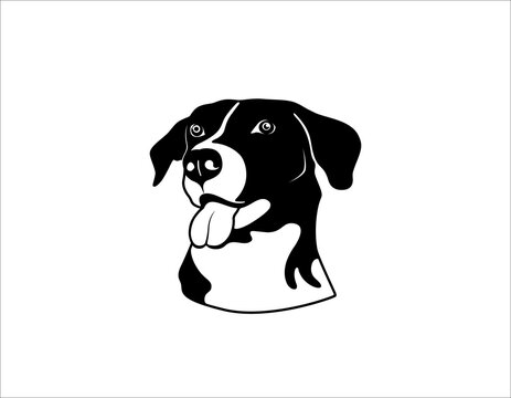 Vector of a dog head on white background