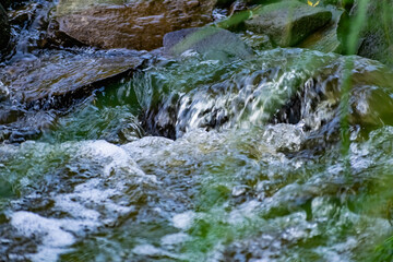 A small natural waterfall in the forest, among stones, branches and logs. There is a lot of green vegetation and moss around. The murmur of a pure natural stream flowing down to the source