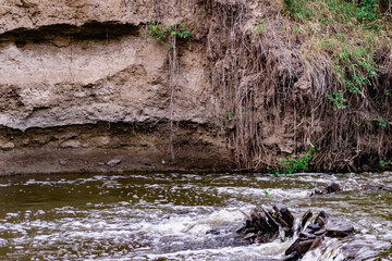 A small natural waterfall in the forest, among stones, branches and logs. There is a lot of green vegetation and moss around. The murmur of a pure natural stream flowing down to the source