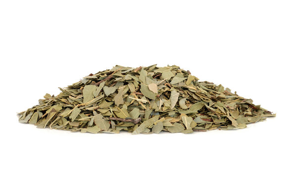 Boldo herb leaves used in herbal medicine for gallstones, rheumatism, bladder infections, gonorrhoea, liver disease, is anti bacterial and can reduce anxiety. On white background. Peumus boldo.