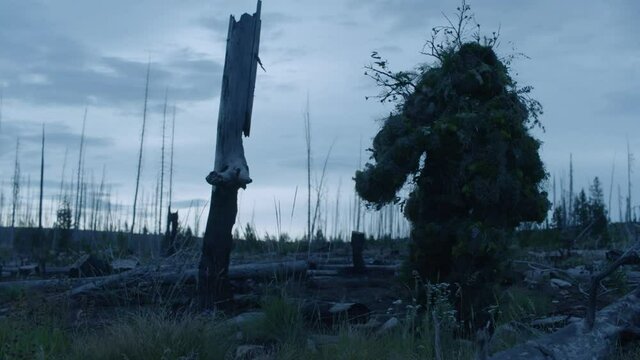 A hunter in a twig and leaf ghillie suit walks through grass