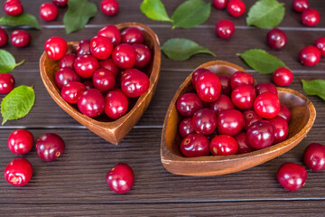 ripe cherries in wooden bowls close - up. background with cherries and green leaves. the harvest of sweet cherries.