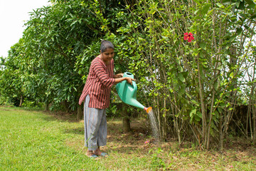 Bolpur, West Bengal/India - 09.13.2020: A pretty woman waters flowering plants on a sunny day from a green watering can
