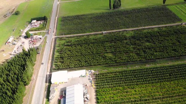 Fruitland road to Roxburgh town aerial tilt up shot. Fruit orchards and grassland with sheep in Clutha river valley, Otago, New Zealand