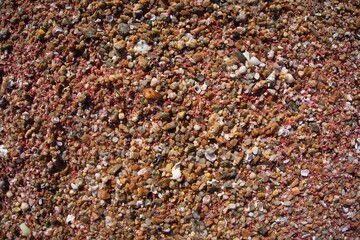Beach Sand at Corsica, with thousands of pebbles and shells