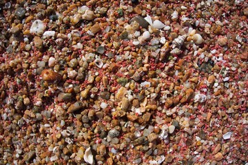 Beach Sand at Corsica, with thousands of pebbles and shells