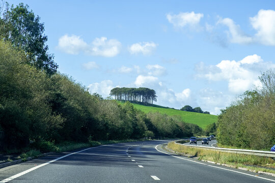 Lifton copse on the boarder between devon and cornwall called the coming home trees 