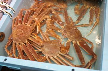 일본 시장 내의 다양한 먹거리들