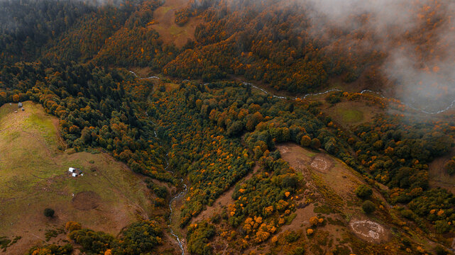 Mountain creek running through the autumn forrest