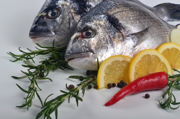 Two Fresh Dorado fish with lemon, onion and rosemary on white background, top view