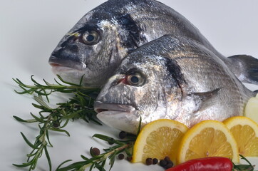 Two Fresh Dorado fish with lemon, onion and rosemary on white background, top view