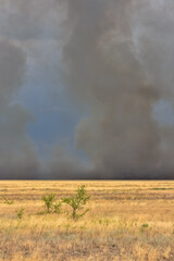 stormy sky in the field, thunderstorm in the steppe, fire in the steppe