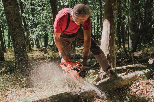 Man cutting wood with a chainsaw