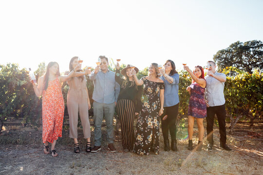 Friends in a Line Cheers with Wine