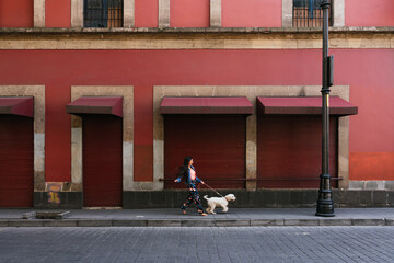beautiful brunette walking her dog