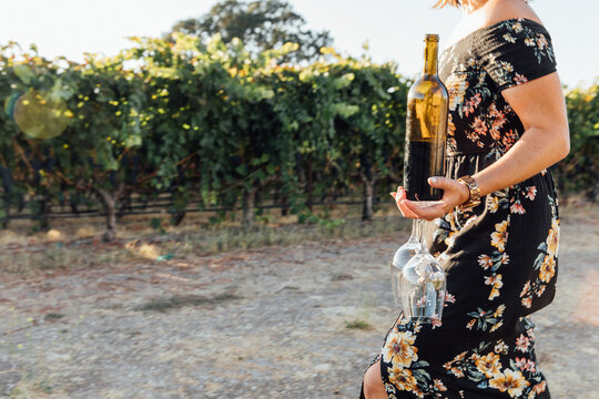 Woman Walks with a Wine Bottle in a Vineyard