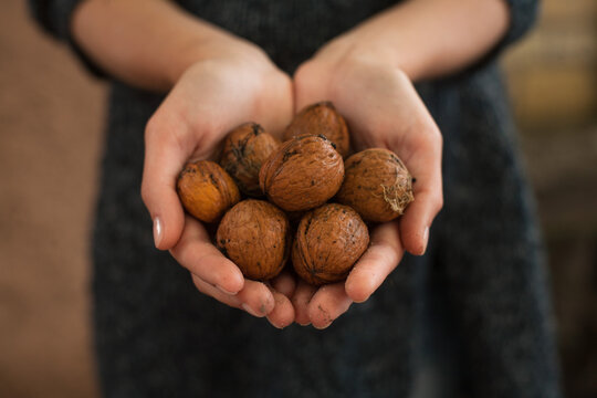 Farmer holds nuts in hands.