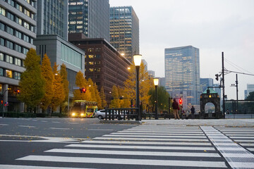 Tokyo skyscraper. Tokyo city, Japan. Crossing road in the downtown are