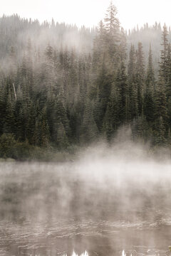 fog on the river © Paloma Ayala
