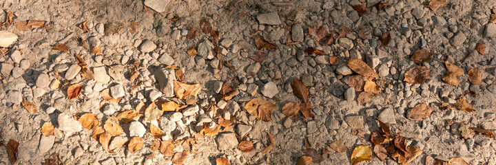 Stony footpath with dry leaves in autumn. Panoramic image