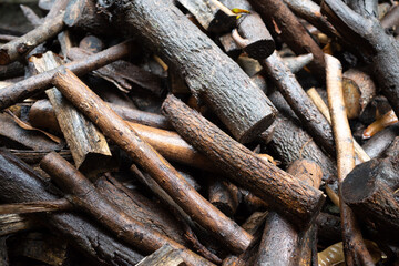 Pieces of wetting firewood laid on the ground after rain stop.