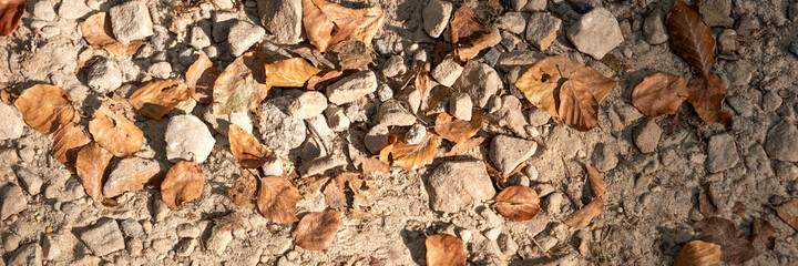 Stony footpath with dry leaves in autumn. Panoramic image