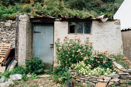 Tumbledown shed