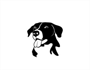 Vector of a dog head on white background	
