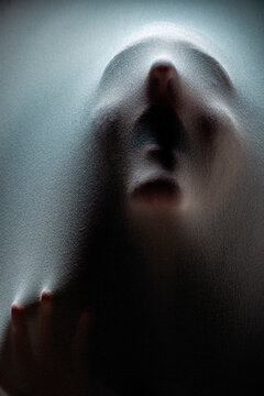 Unusual portrait of a woman emerging from a painting.
