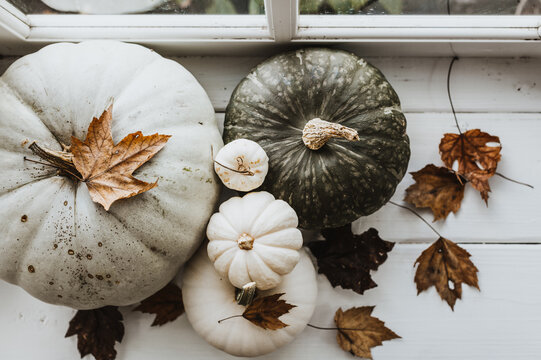 Pumpkins