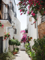 Typical street of white Andalusian village, spain, with flower pots and greenery, located on Mojacar, Almería.