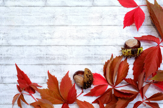Saisonaler Herbst Hintergrund. Rahmen mit bunten Blättern, Kastanien, weißes Holz
