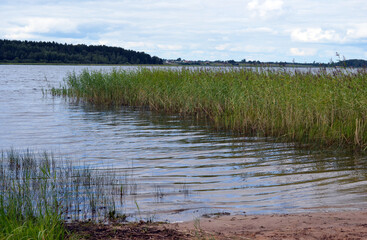 lake shore for boat call
