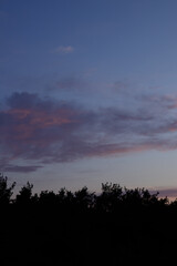 Early sunrise over the forest with orange and pink clouds.