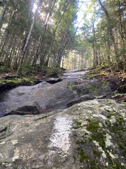 Naklejka na ściany i meble Appalachian trail continuing up a solid rock formation
