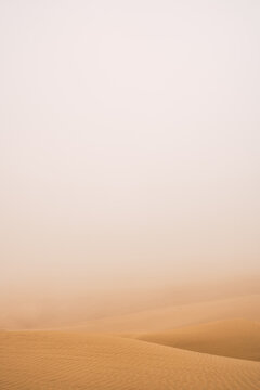 dunes of the desert