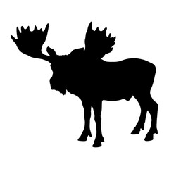 Standing Moose (Alces Alces) On a Side View Silhouette Found In Map Of Eurasia, Europe And North America. Good To Use For Element Print Book, Animal Book and Animal Content