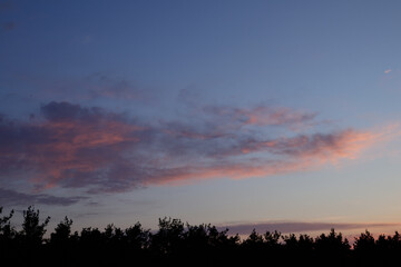 Early sunrise over the forest with orange and pink clouds.