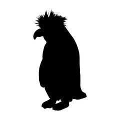 Standing Macaroni Penguin (Eudyptes Chrysolophus) On a Front View Silhouette Found In Map Of Antartica Ocean. Good To Use For Element Print Book, Animal Book and Animal Content