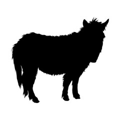 Standing Mule (Equus Mule) On a Side View Silhouette Found In Map Of Africa, Asia, Eurasia, Europe, Central, North And South America. Good To Use For Element Print Book, Animal Book and Animal Content