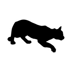 Walking Mountain Lion (Felis Concolor) On a Side View Silhouette Found In Map Of Central, North And South America. Good To Use For Element Print Book, Animal Book and Animal Content