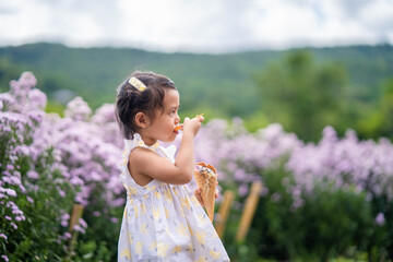 Fototapeta na wymiar Little girl eating soft ice against Beautiful blossom Violet Margaret Flower field.
