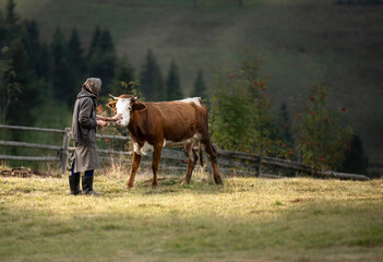 Rustic scene in the mountains of Romania