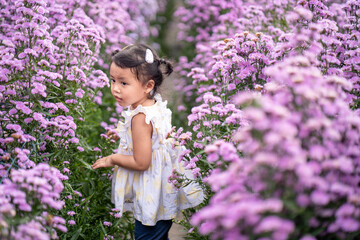 Cute little girl walking at Beautiful blossom Violet Margaret Flower field.