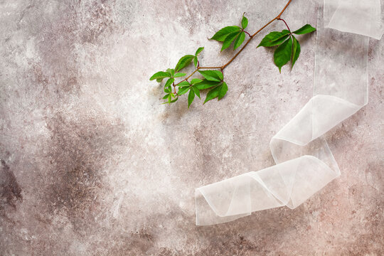 Beautiful composition, a branch of wild grapes with leaves and a tulle ribbon. Beige textured rustic background. Template for your design.