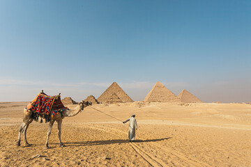 Camel Driver With Camel in Front of the Pyramids at Giza, Egypt