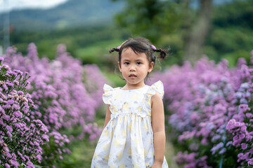 Cute little girl walking at Beautiful blossom Violet Margaret Flower field.