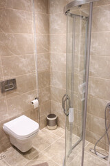 Modern bathroom indoor. White toilet and shower cabin. Brown tiles on wall.