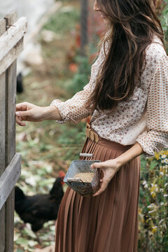 Woman Feeding Chickens In Barn
