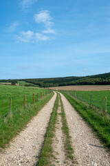 Fototapeta na wymiar Farm track and rolling hills, countryside.